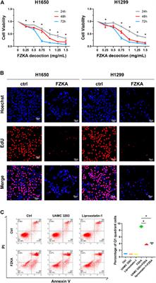 GPX4 Plays a Crucial Role in Fuzheng Kang’ai Decoction-Induced Non-Small Cell Lung Cancer Cell Ferroptosis